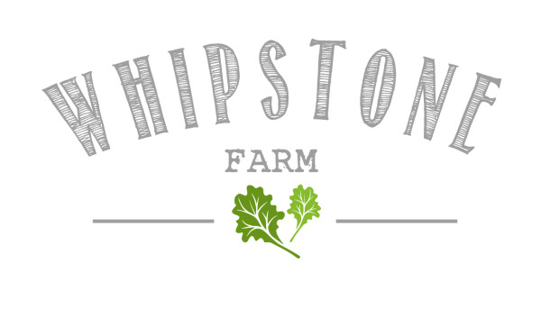 Whipstone-9-e1426616448697